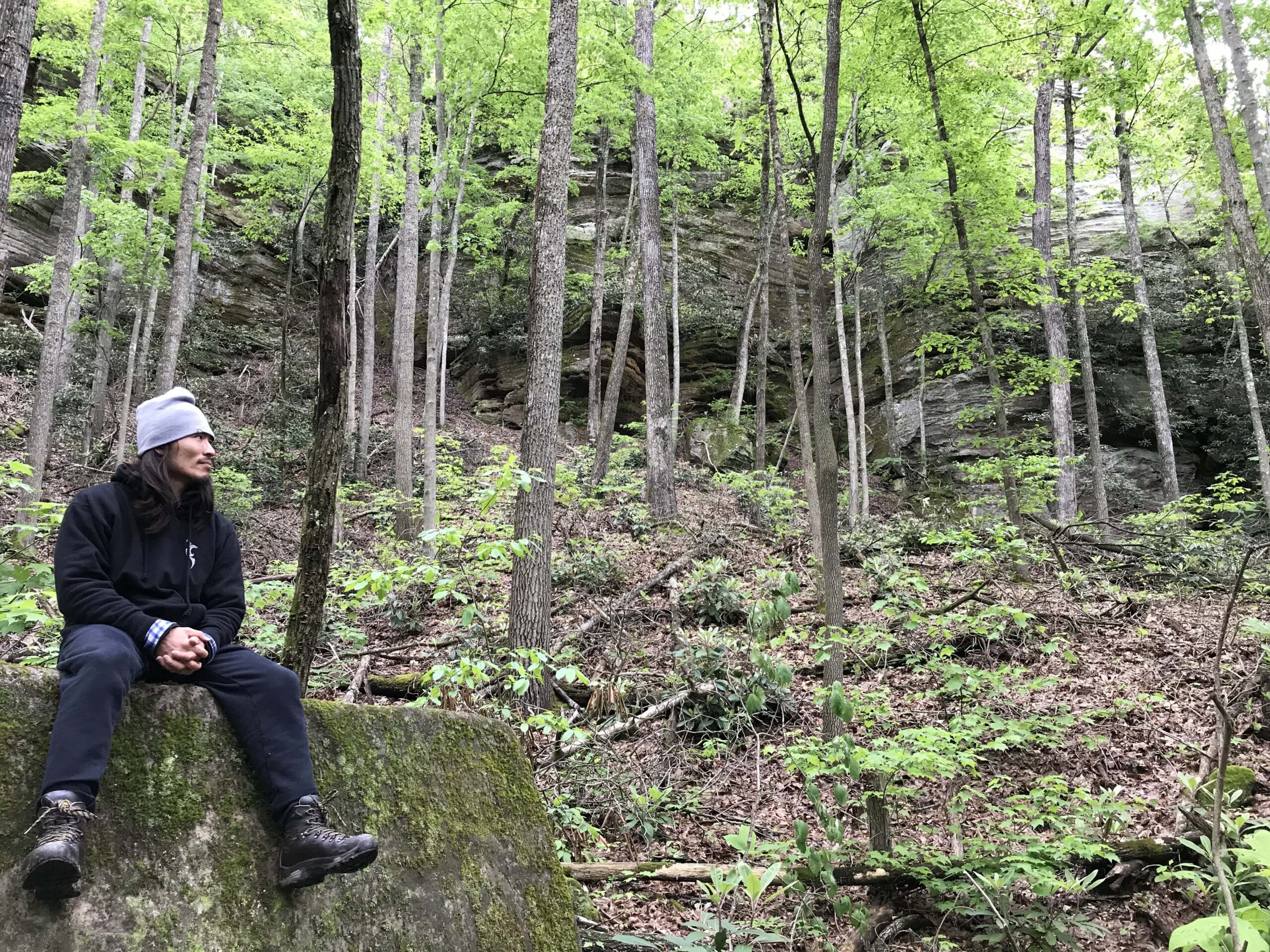 Sebastian sitting on a rock at Red River Gorge in Kentucky. He wears a grey beanie, a black hoodie, and brown hiking boots. The backdrop is a gently sloping hill filled with tall, lushly green trees. Delicate foliage, peppering the ground, rise up above the wooded, leafy ground into a textured rock face.